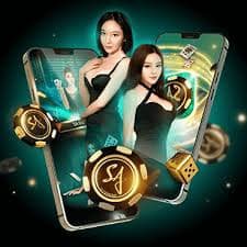 Pengguna meninjau fitur akun mobile